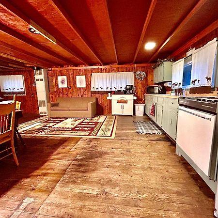 O Me, O Mio Cabin Near The Ausable River Exterior photo
