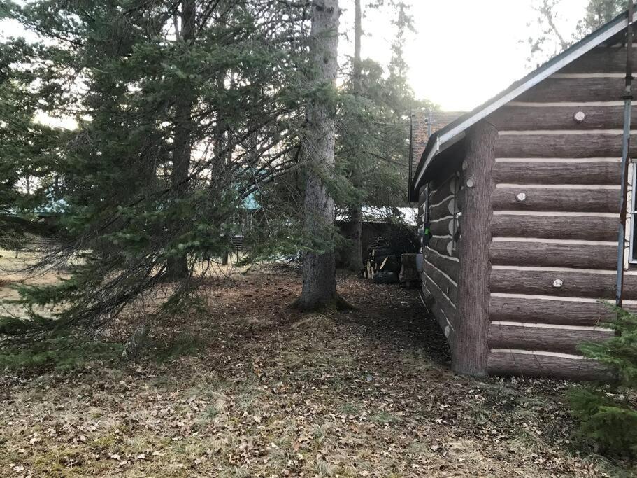 O Me, O Mio Cabin Near The Ausable River Exterior photo